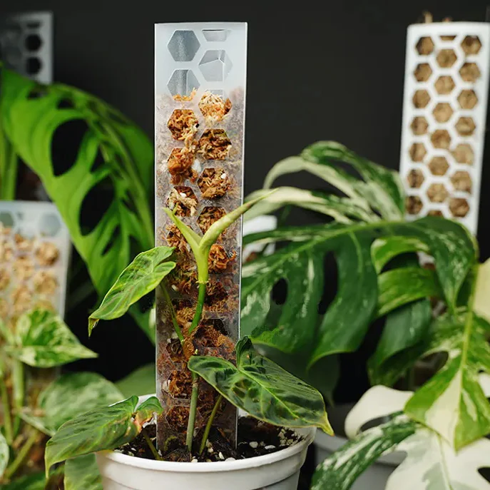 CANOPY Extendable Grow Pole - INK 34cms MINI [from $5 each] - Image 7