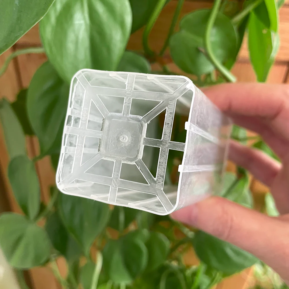 Rain DEEP MINI Clear Root Trainer Pots - 3 PACK - 5cms x 11.5cms - 220ml - $1.15 each - Image 5