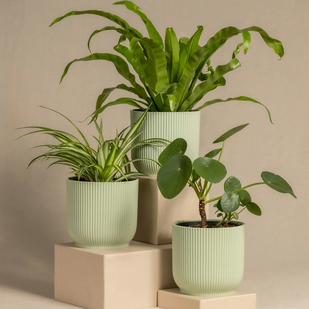 Cover Pot - Elho Vibes - 14cm Mint Sorbet - Image 5