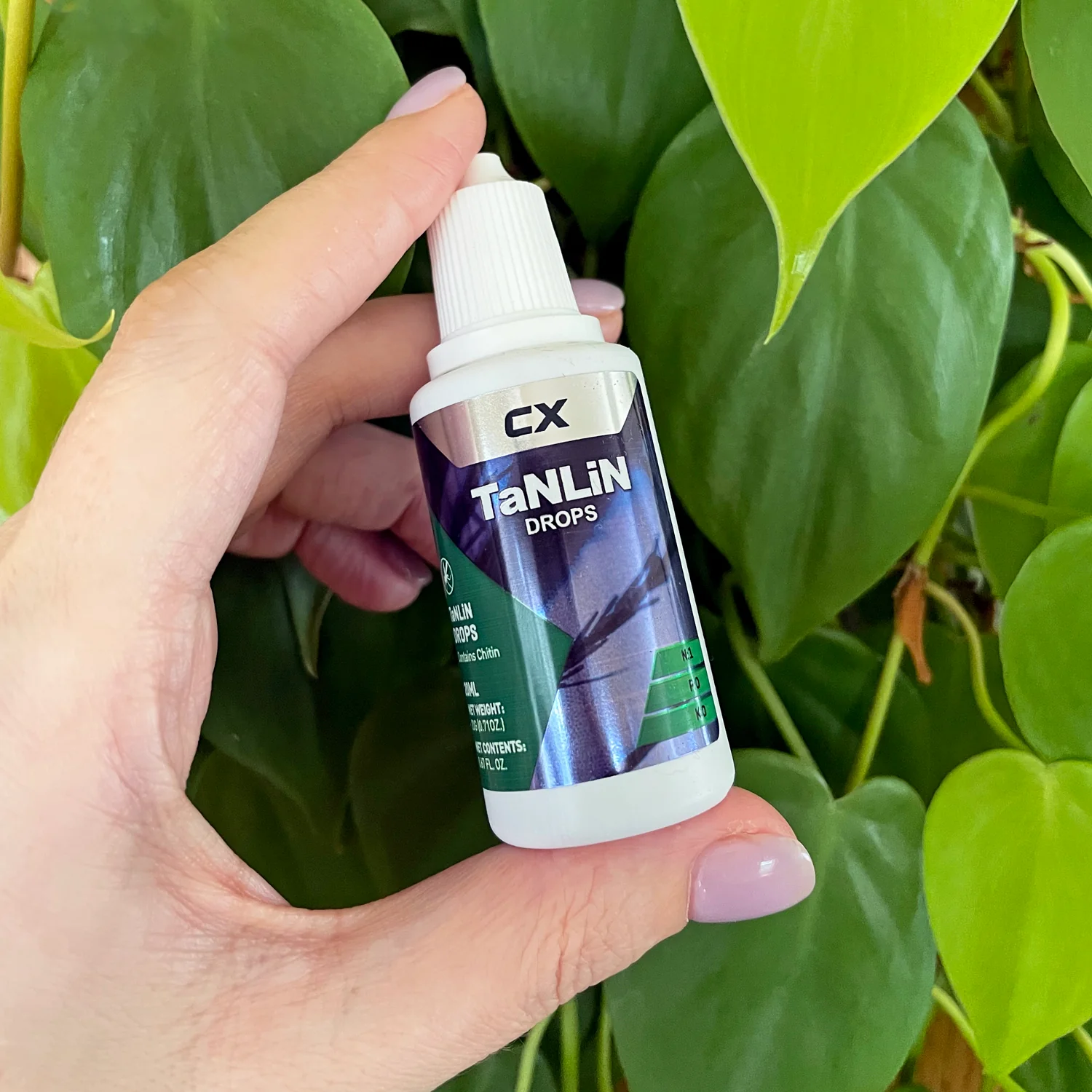 CX Tanlin Drops - Fungus Gnat Treatment and Prevention - 20ml - Makes 600 litres - Image 4