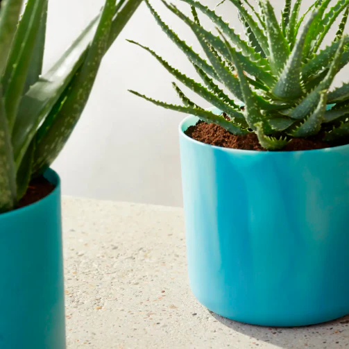 Elho Ocean Collection - 100% Recycled - Atlantic Blue - 18cm - Image 6