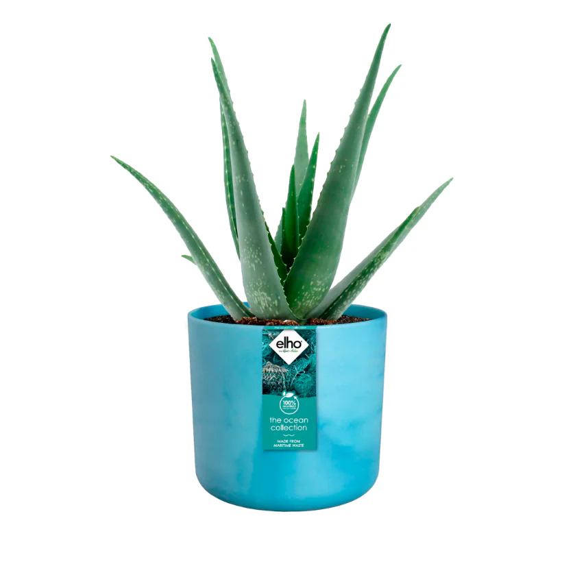 Elho Ocean Collection - 100% Recycled - Atlantic Blue - 18cm - Image 8