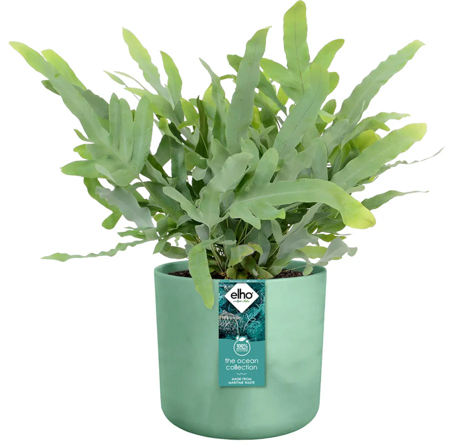 Elho Ocean Collection - 100% Recycled - Pacific Green - 14cm - Image 5