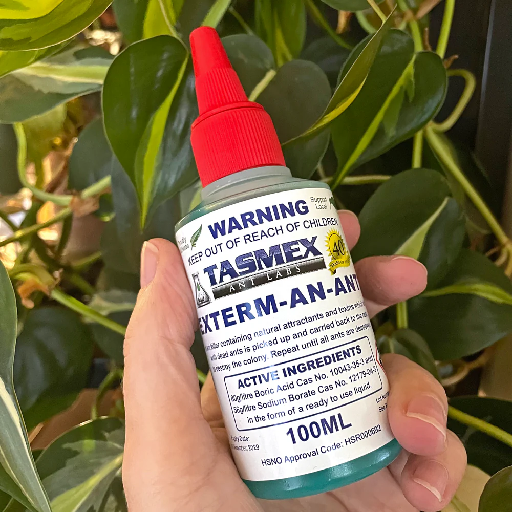 Exterm-An-Ant Ant Killer Liquid Ant Bait - Image 3