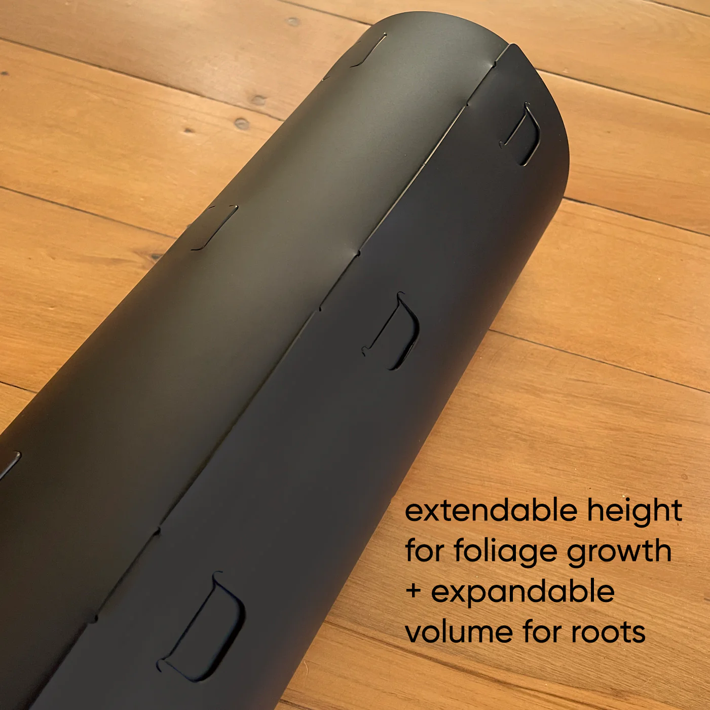 Grow Vertical Sixty - 60cms CLEAR (from $14 each) - Image 9