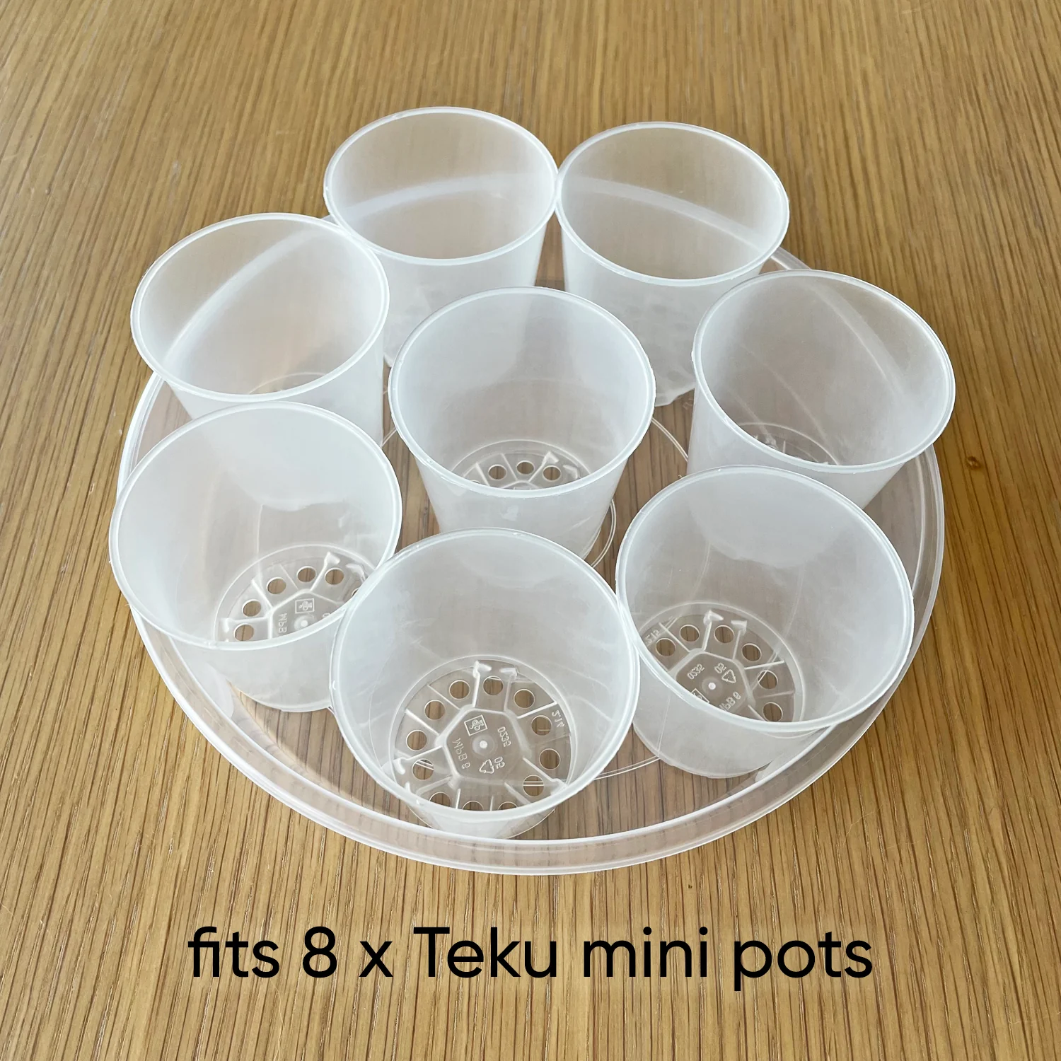Rain Clear Saucer - EXTRA LARGE - Best match for 20cm to 23cm pots - From $2.40 each - Image 6