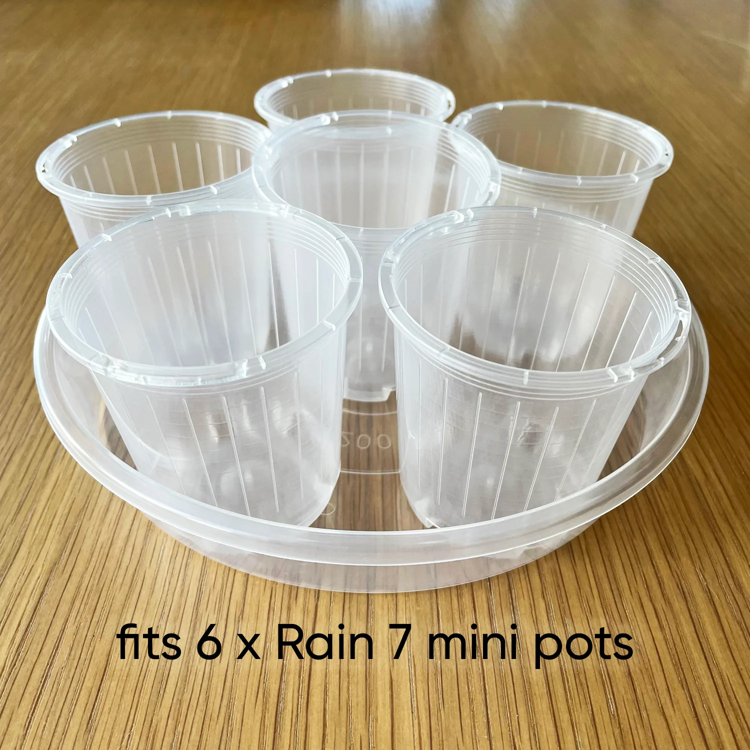 Rain Clear Saucer - EXTRA LARGE - Best match for 20cm to 23cm pots - From $2.40 each - Image 8