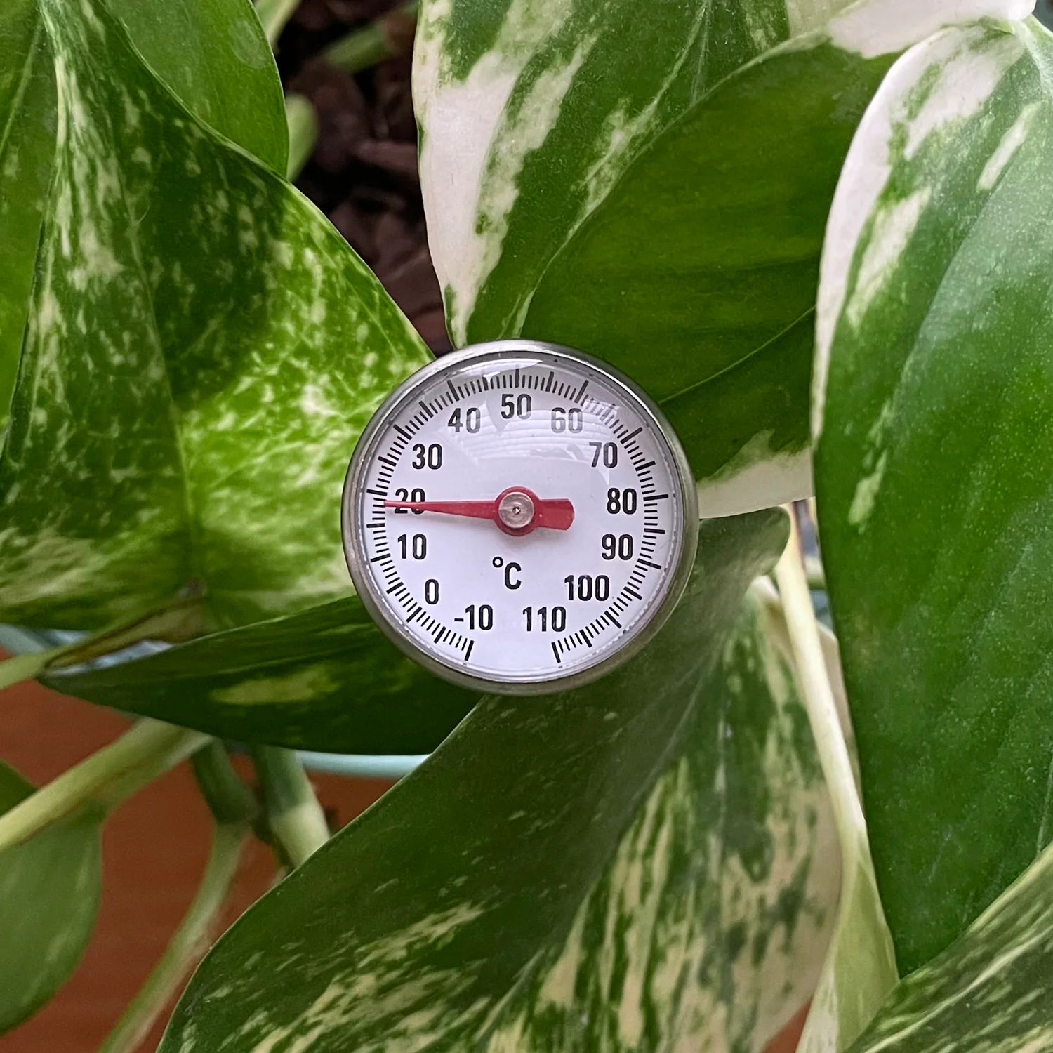Soil Thermometer - Image 4