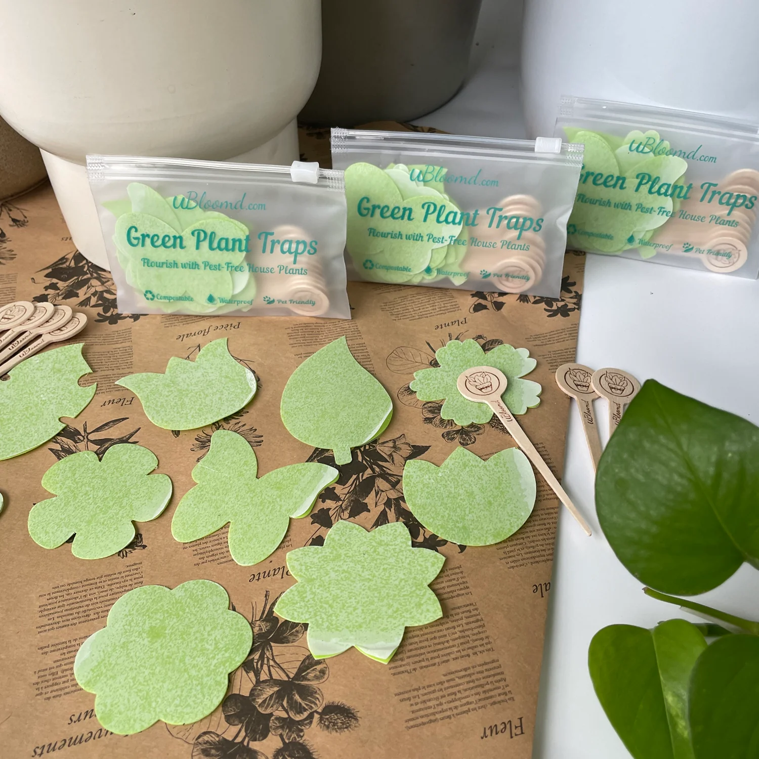 uBloomd Green Sticky Traps NATURE COLLECTION for flying pests - 10 traps / 5 clips - $1.90 per trap - Image 5
